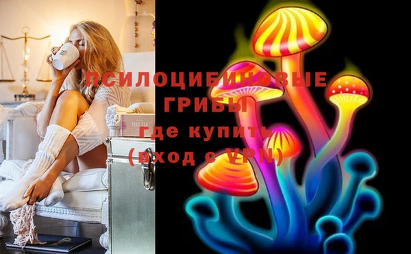 героин Алексин