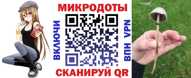 hydra ССЫЛКА  Арск  Галлюциногенные грибы Psilocybine cubensis 